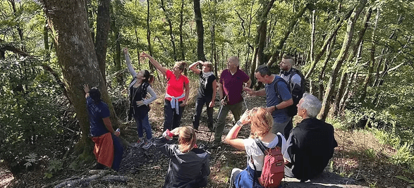 Un groupe de participants en randonnée dans la forêt