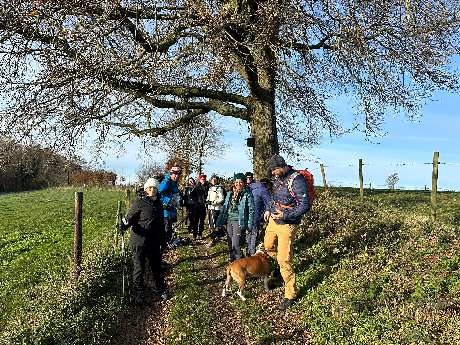 Groupe de randonneurs sous un grand arbre