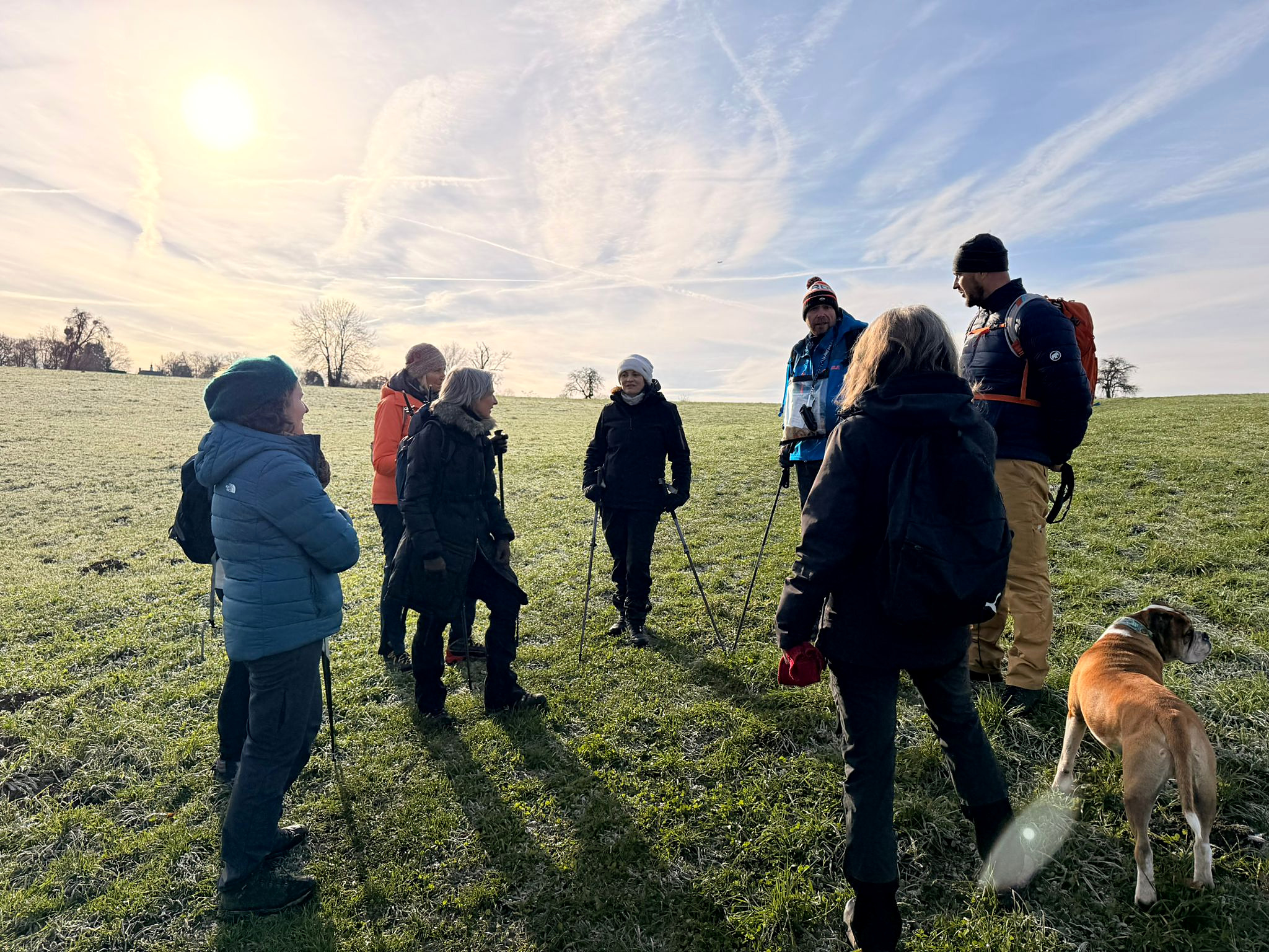 Pause conviviale en plein champ au soleil couchant