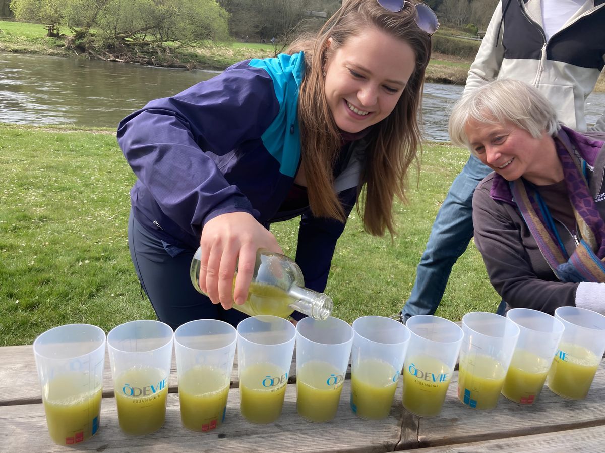 Service de jus vert en extérieur
