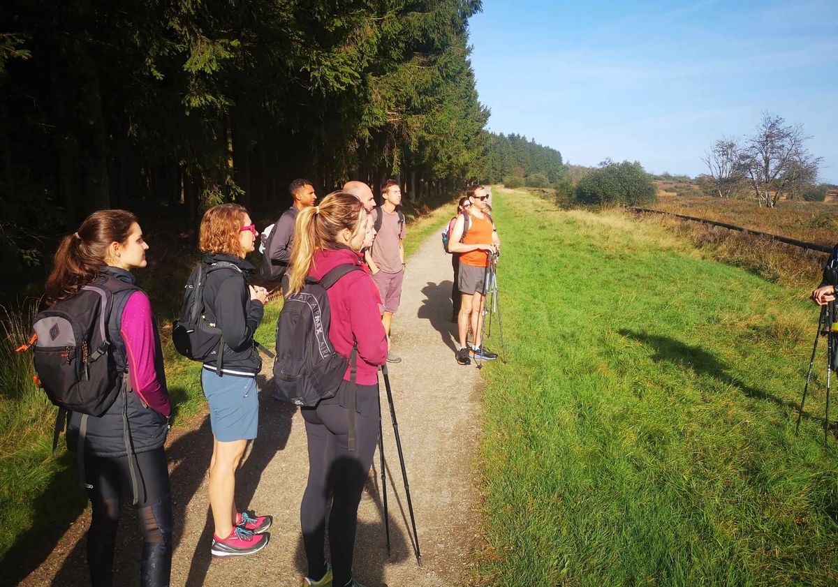 Groupe en randonnée sur un chemin