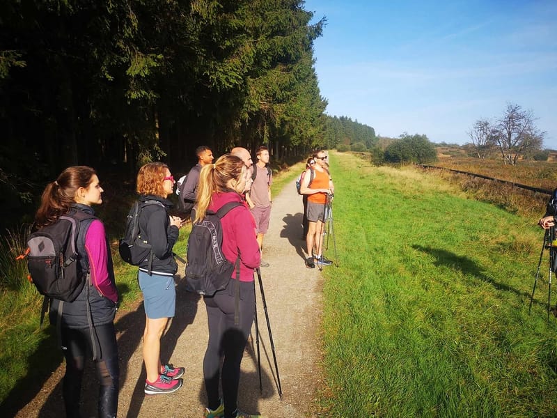 Groupe en randonnée sur un chemin forestier