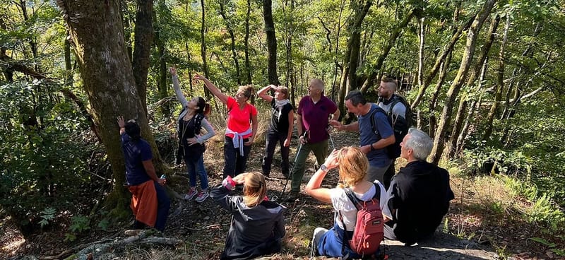 Pause en forêt lors de la randonnée