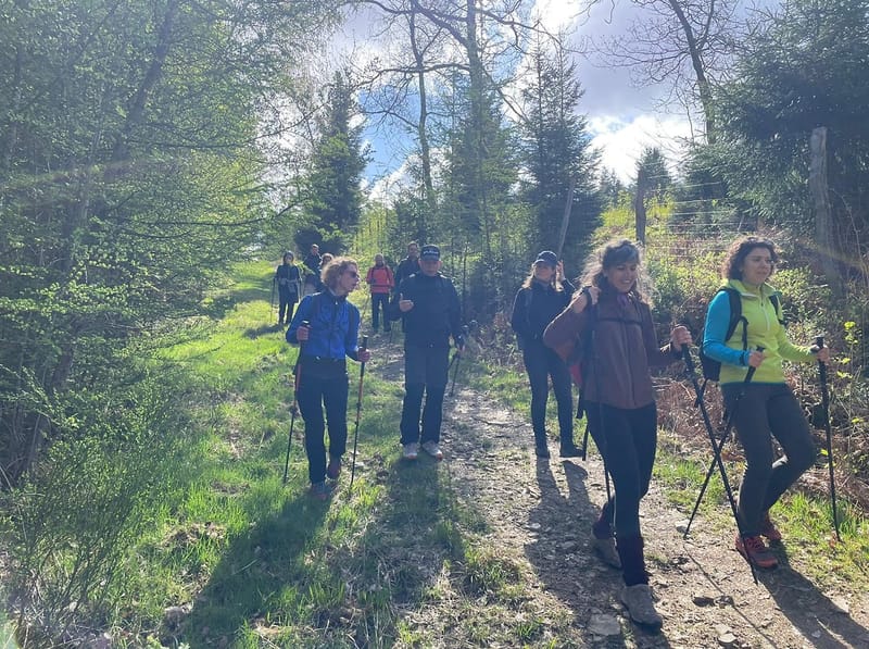 Sentier de randonnée en forêt